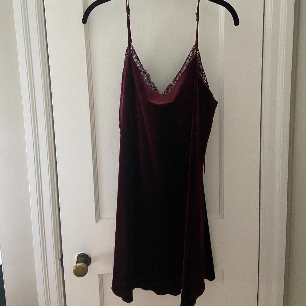 Free People Velvet Dress